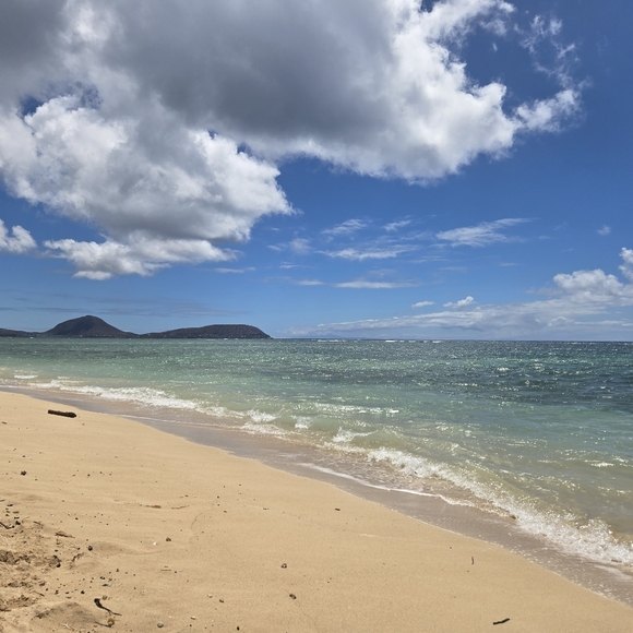 Meet your Posher, Lisa - Picture 8 of 8